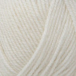 Plymouth Encore Worsted