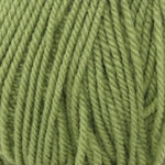 Plymouth Encore Worsted