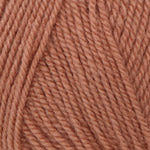 Plymouth Encore Worsted