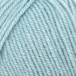 Plymouth Encore Worsted