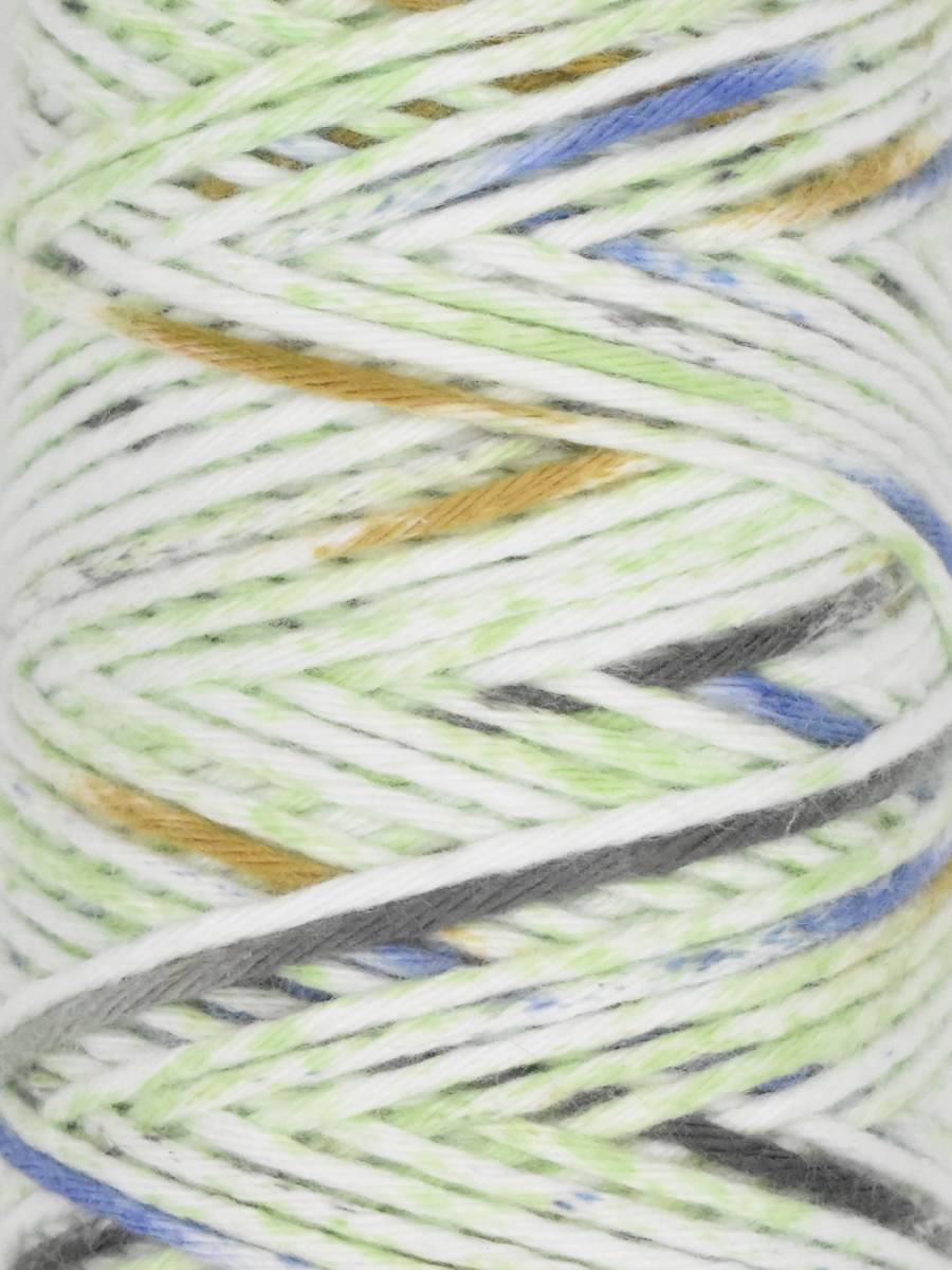 Queensland Coastal Cotton Mist