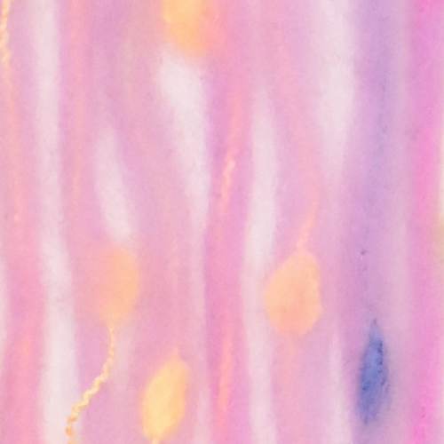 Coloria - On Line
