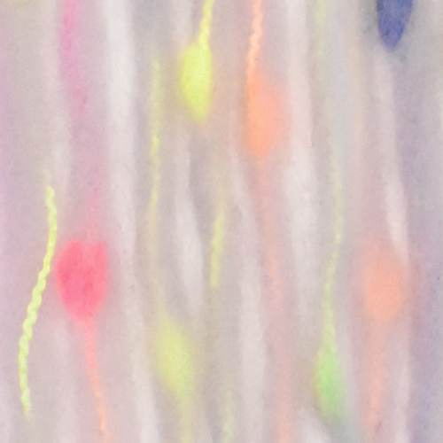 Coloria - On Line