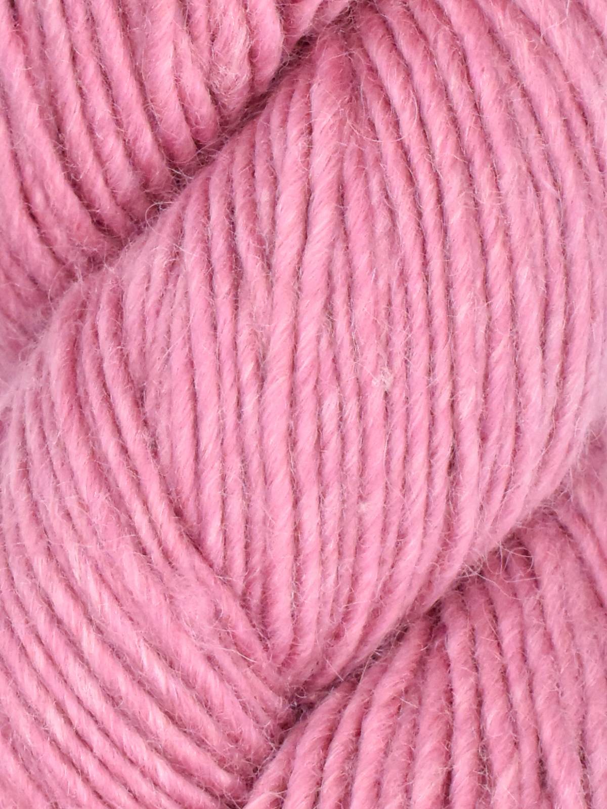 Juniper Moon - Moonshine