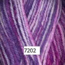 Plymouth Encore Chunky Colorspun