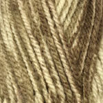 Plymouth Encore Chunky Colorspun