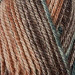 Plymouth Encore Chunky Colorspun