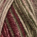 Plymouth Encore Chunky Colorspun