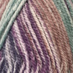 Plymouth Encore Chunky Colorspun